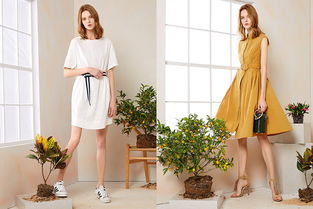 大型品牌折扣女装连锁店装修技巧 吸引顾客与提升销量的关键